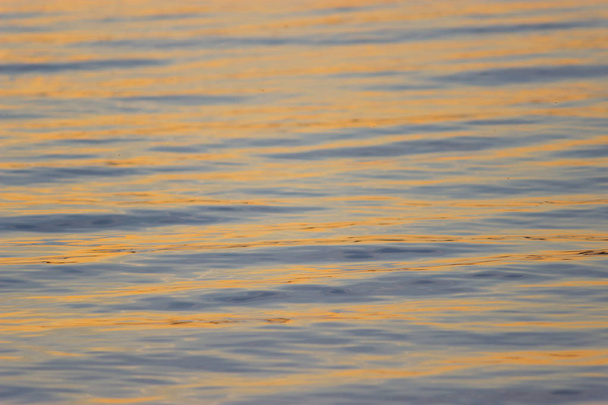 close-up texture of water, bronze waves at sunset - Zdjęcie, obraz