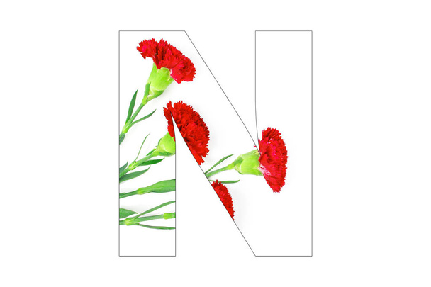Flower font Alphabet a-z made of Carnation flowers on white background - 写真・画像