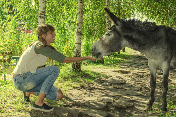 beautiful smiling girl feeds the grass of the donkey in the park - Foto, afbeelding