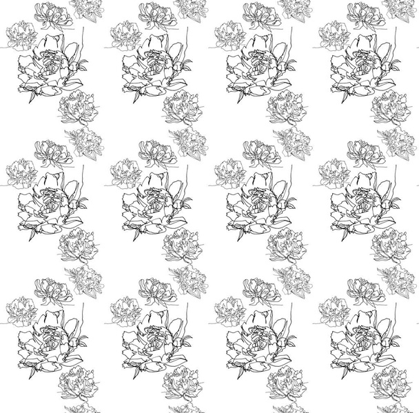 A floral seamless ornament peony flowers - Vector, imagen