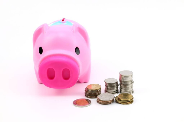 Пікнік банк і монета для інвестування грошей на білому тлі
 - Фото, зображення