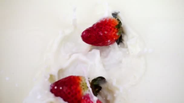 Μια ώριμη φράουλα πέφτει στο γάλα. Βίντεο από μούρο σε απομονωμένο λευκό φόντο. - Πλάνα, βίντεο