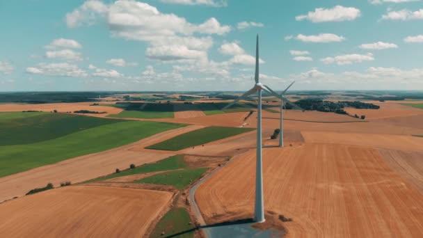 Veduta aerea di turbine eoliche e gerneratori eolici in movimento in una giornata estiva su colture di grano con grande cielo aperto
 - Filmati, video