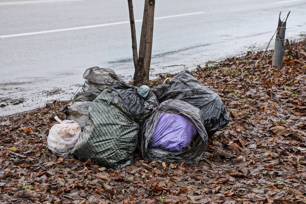 una pila de bolsas de plástico con basura en las hojas caídas cerca de la carretera
 - Foto, imagen