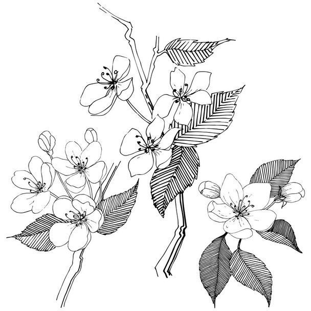 Δέντρο μηλιάς στο ένα στυλ διάνυσμα απομονωμένη. Πλήρης ονομασία του φυτού: Μηλιά. Διάνυσμα λουλούδι για φόντο, υφή, μοτίβο περιτύλιγμα, πλαίσιο ή στα σύνορα. - Διάνυσμα, εικόνα
