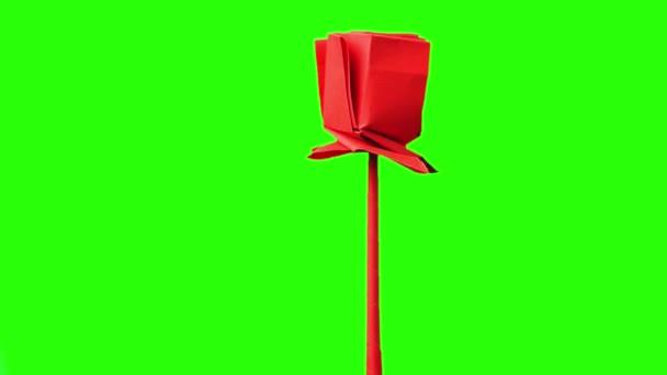 Flor roja de origami en exposición
. - Imágenes, Vídeo