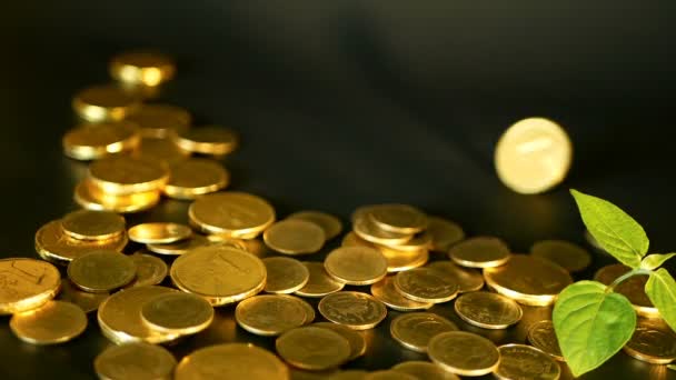 Managementeffizienz. Goldmünzen und grünes Keimblatt auf schwarzem Hintergrund. rotierender, drehender, wirbelnder Groschen - Filmmaterial, Video
