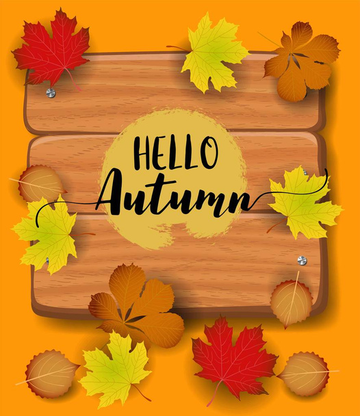 Hello Autumn banner. paper colorful tree leaf maple, rowan leaves on wood texture background. - Vecteur, image