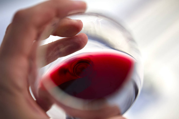 male hand holding glass of red wine  - Photo, Image