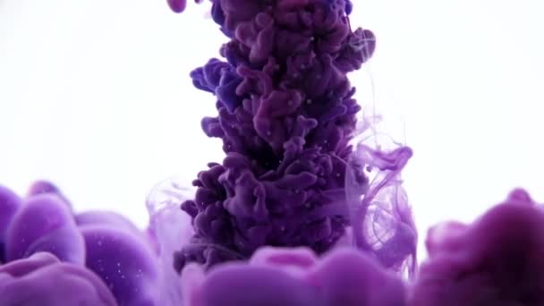Gotas de tinta púrpura en fondo blanco
 - Imágenes, Vídeo