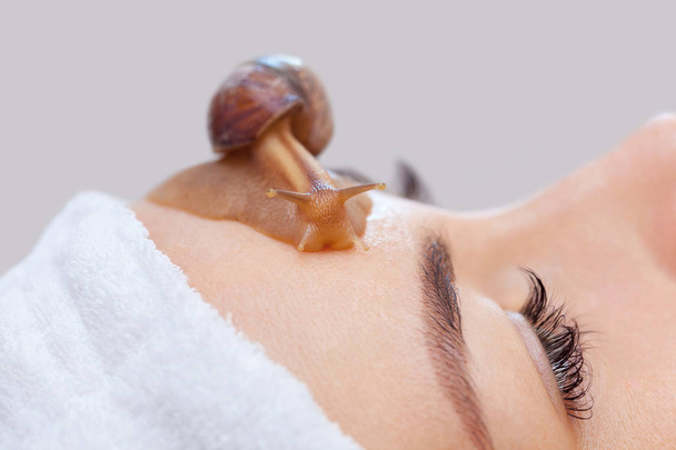 Cosmetological procedure. Beautiful young woman with a snail ahatin on her face in a beauty salon. - Photo, Image