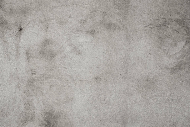 gray concrete or cement texture. Stone wall background. Spider in a corner - Фото, изображение