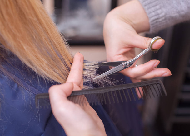 The hairdresser does a haircut with scissors of hair to a young girl, a blonde in a beauty salon. - Photo, Image