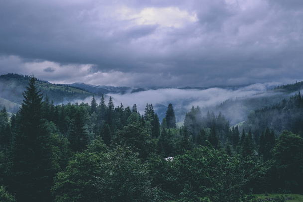暗い不機嫌そうな曇天で緑雨山の森林 - 写真・画像