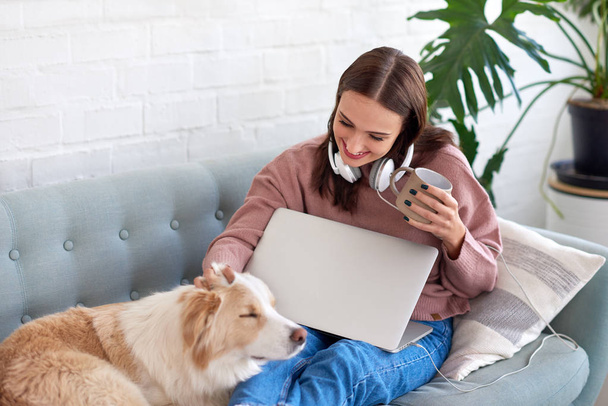 Beautiful woman relaxing on sofa with dog and laptop  - Zdjęcie, obraz