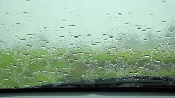 Conducir en el día lluvioso
 - Metraje, vídeo