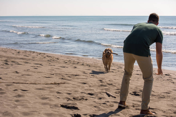 man with dog enjoying free time on the beach at autumn day - Foto, imagen