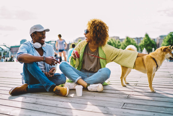 Happy afro american couple in love laughing and having fun together during sunny day, dark-skinned stylish hipsters enjoying free time with lovely akita inu dog talking and joking with each other - Fotoğraf, Görsel