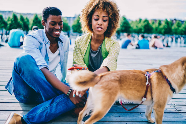 Smiling afro american friends spending time with lovely pappy communicating sitting in city park, dark-skinned hipster guy resting with girlfriend and akita inu dog having fun together on sunny day - 写真・画像