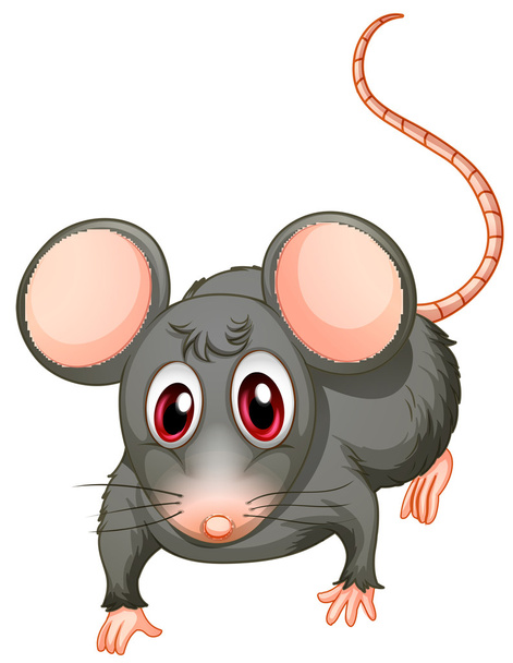 若いマウス - ベクター画像