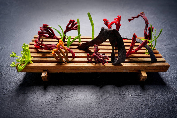codium seaweed salad modern cuisine with marine fennel and colorful algae - Fotó, kép