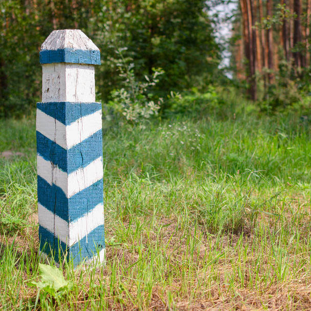 領土標識です。緑と白ストライプ木造フォレスト内。森林区域。Instagram フォーマットしてください。正方形します。アウトドア。クローズ アップ. - 写真・画像