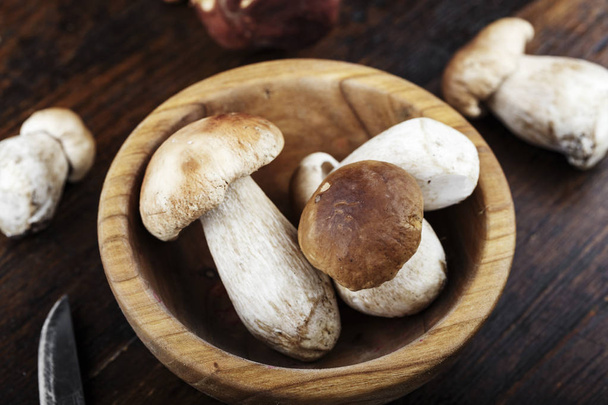 harvest of mushrooms boletus in a plate on a wooden background. place for tex - Photo, image