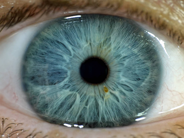 Makro fotografii modré lidské oko - Fotografie, Obrázek