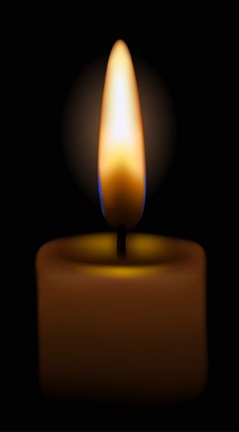 burning candle - Vetor, Imagem