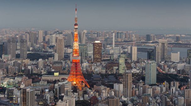 Festői kilátás nyílik Tokió város Skyline, Japán - Fotó, kép