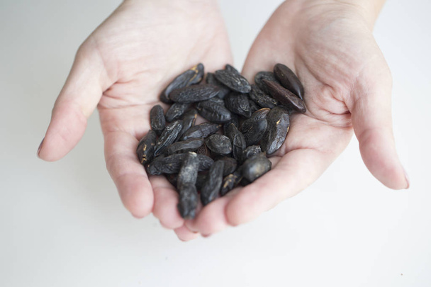 haricots tonka dans les mains féminines
 - Photo, image