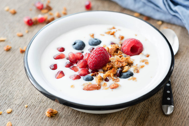 Yogurt with pomegranate, blueberry and granola in bowl - Photo, Image