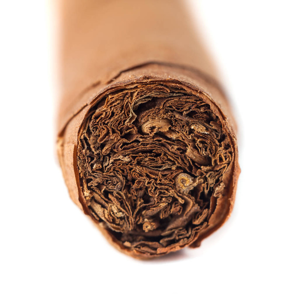 Cubaanse sigaar close-up geïsoleerd op witte achtergrond. - Foto, afbeelding