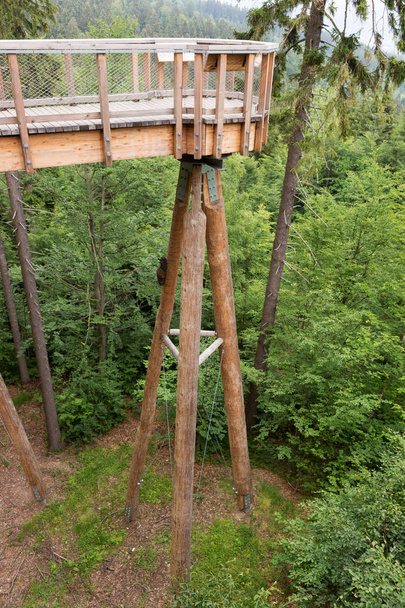 Camino por encima de los árboles se encuentra en Jansk Lzn. República Checa
 - Foto, Imagen