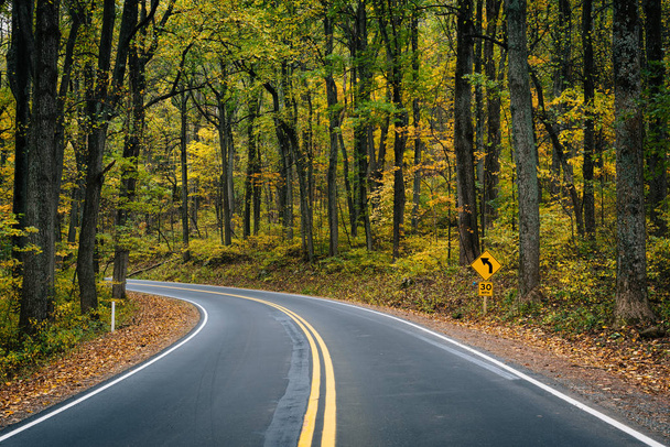 Early autumn color along Skyline Drive in Shenandoah National Park, Virginia - Foto, Imagen