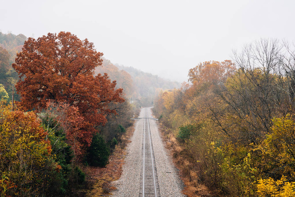 Fall color along a railroad track, from the Blue Ridge Parkway in Virginia - Foto, immagini