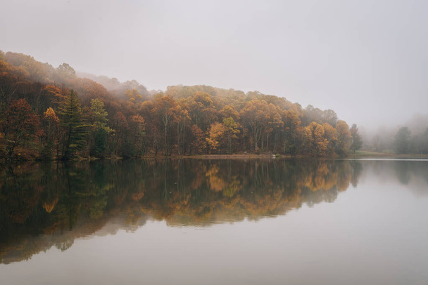 Fall color and fog at Peaks of Otter Lake, on the Blue Ridge Parkway in Virginia - Fotografie, Obrázek