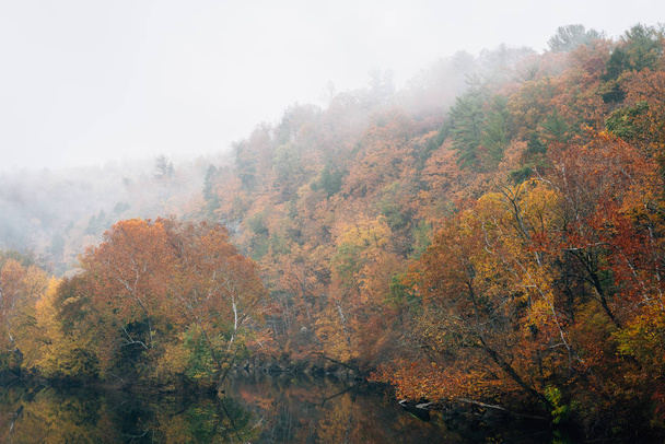 Fog and autumn color on the James River, from the Blue Ridge Parkway in Virginia. - Фото, изображение