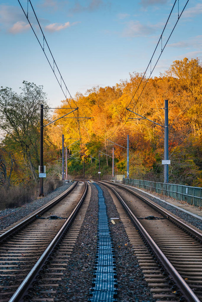 Light Rail tracks and autumn color in Baltimore, Maryland - Φωτογραφία, εικόνα