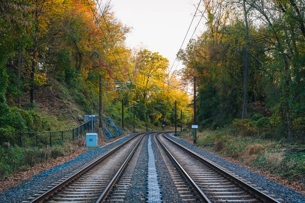 Light Rail tracks and autumn color in Baltimore, Maryland - Photo, image