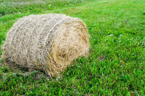 La consistenza di un pagliaio secco naturale rotondo di paglia secca è un'erba secca in un villaggio in una fattoria contro un cielo blu con le nuvole. Raccolta di mangimi per animali. Lo sfondo
 - Foto, immagini