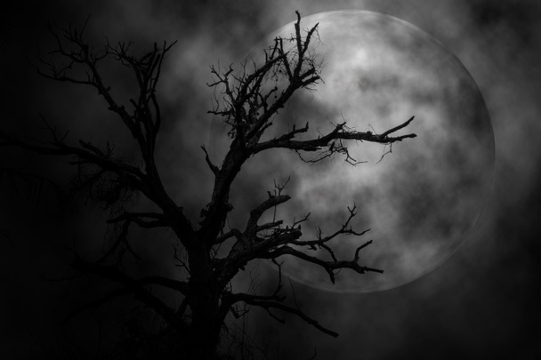 Δέντρο και το φεγγάρι σε φόντο τρομακτικό νύχτα, έννοια Απόκριες. - Φωτογραφία, εικόνα