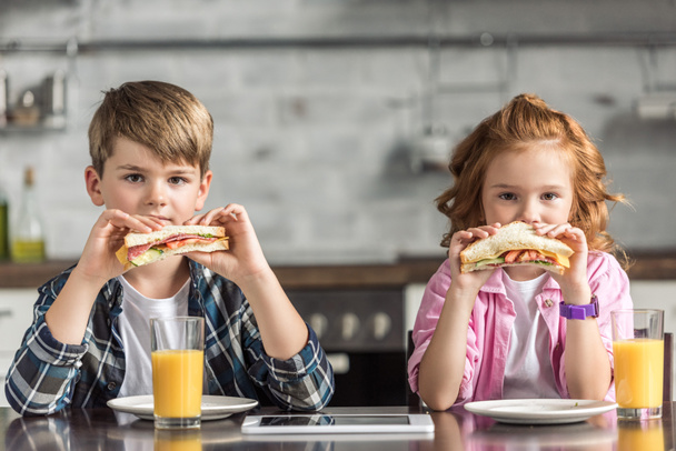 little brother and sister eating sandwiches and looking at camera - Zdjęcie, obraz