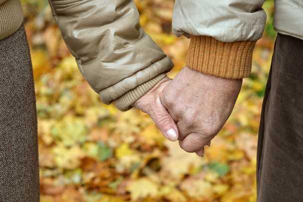 elderly couple holding hands in autumn park - Photo, image
