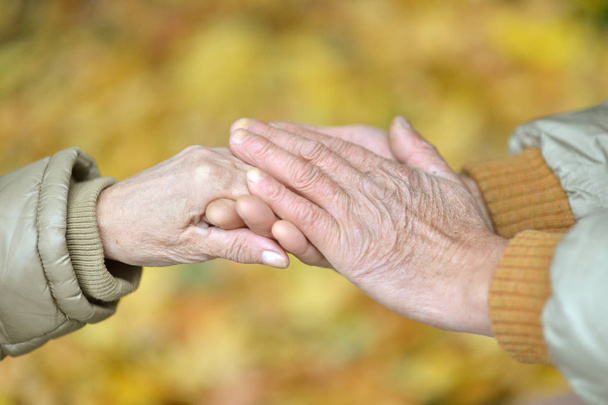 elderly couple holding hands in autumn park - Photo, Image