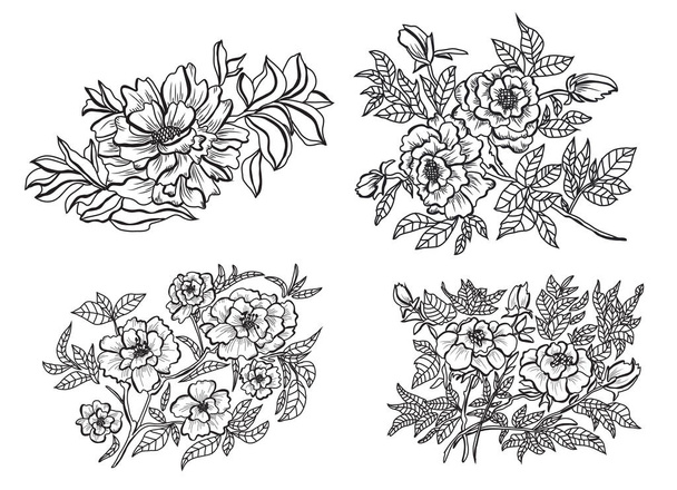 Decorative peony flowers, design elements. Can be used for cards, invitations, banners, posters, print design. Floral background in line art style - Vector, imagen
