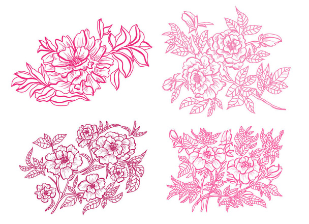 Decorative peony flowers, design elements. Can be used for cards, invitations, banners, posters, print design. Floral background in line art style - Vektor, obrázek