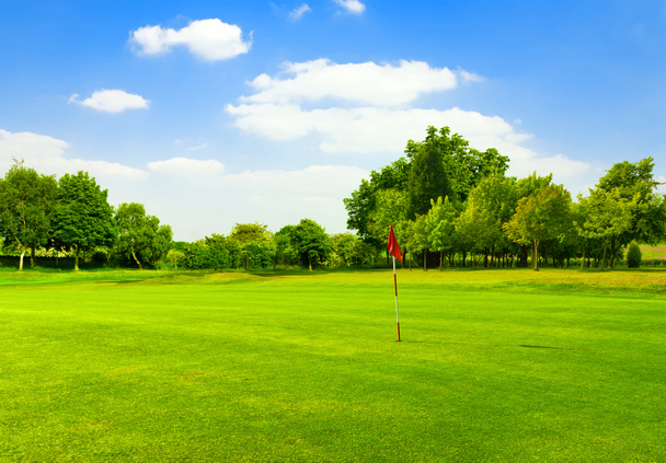 Herbe verte parfaite sur un terrain de golf - Photo, image