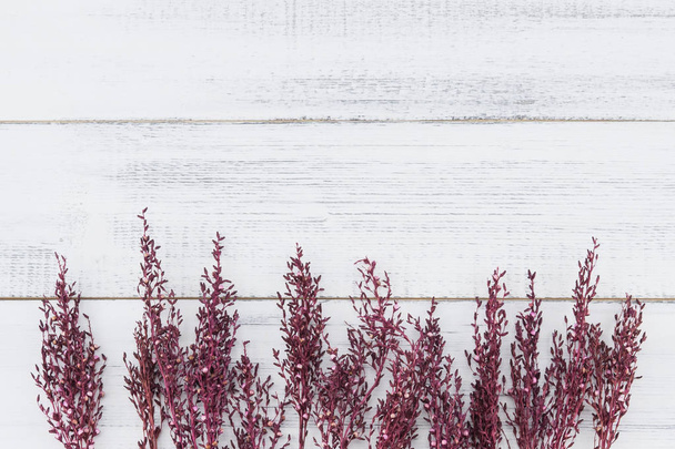 Βιολέτα αποξηραμένο λουλούδι σε λευκό φόντο ξύλου με αντίγραφο χώρου - Φωτογραφία, εικόνα