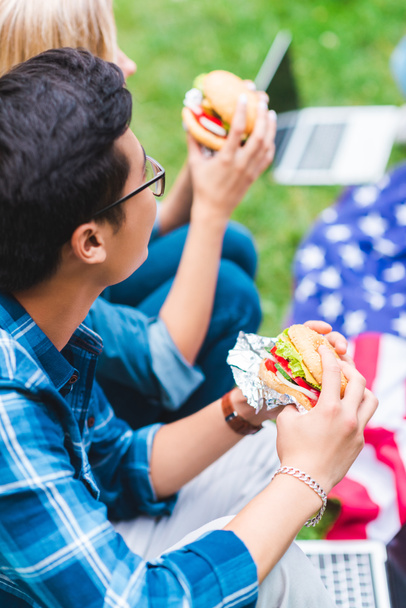 foco seletivo de estudantes com hambúrgueres sentados em grama verde com bandeira americana
  - Foto, Imagem